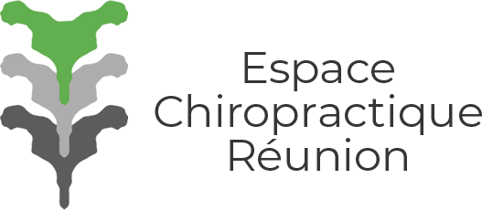 Logo Espace Chiropractique Réunion - ECR